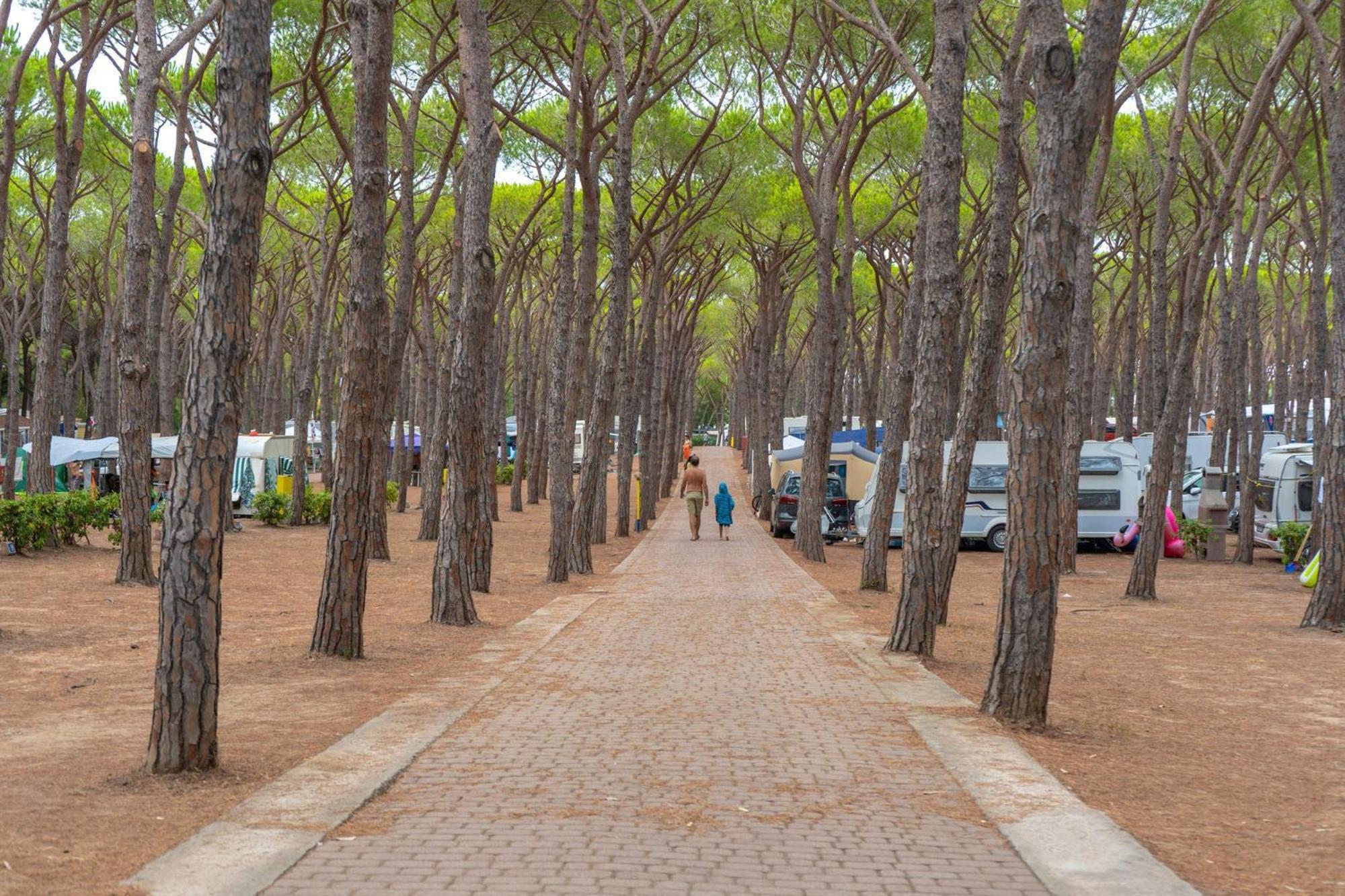 Camping Village Baia Blu La Tortuga Aglientu Exterior foto